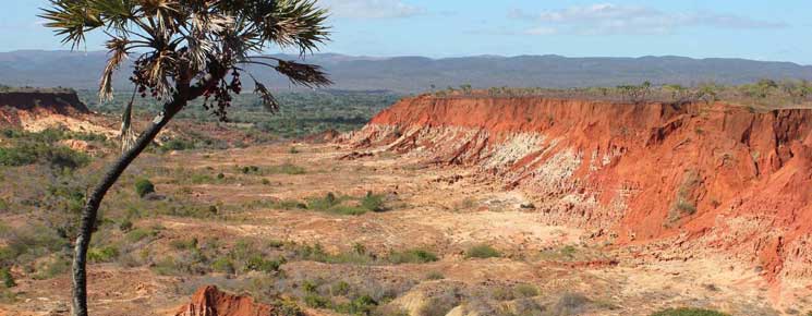 Avant votre voyage à Madagascar : Idées sur les billets d'avion