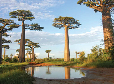 Circuits à Madagascar