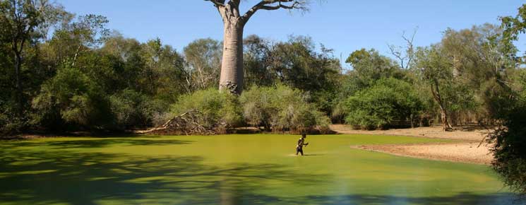 Les sites touristiques les plus visités à Madagascar