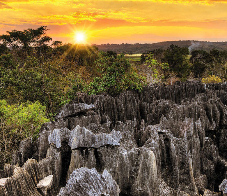 Les-merveilles-de-la-nature